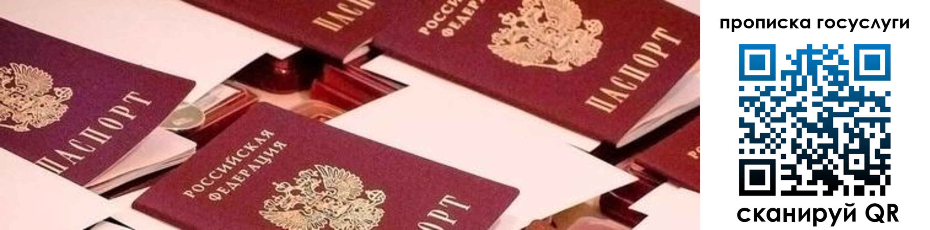 регистрация в Сосновом Бору